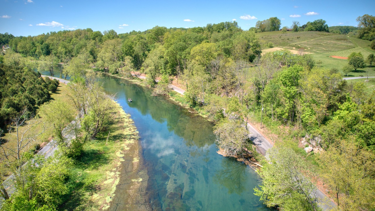 Photo of Others in Bluff City