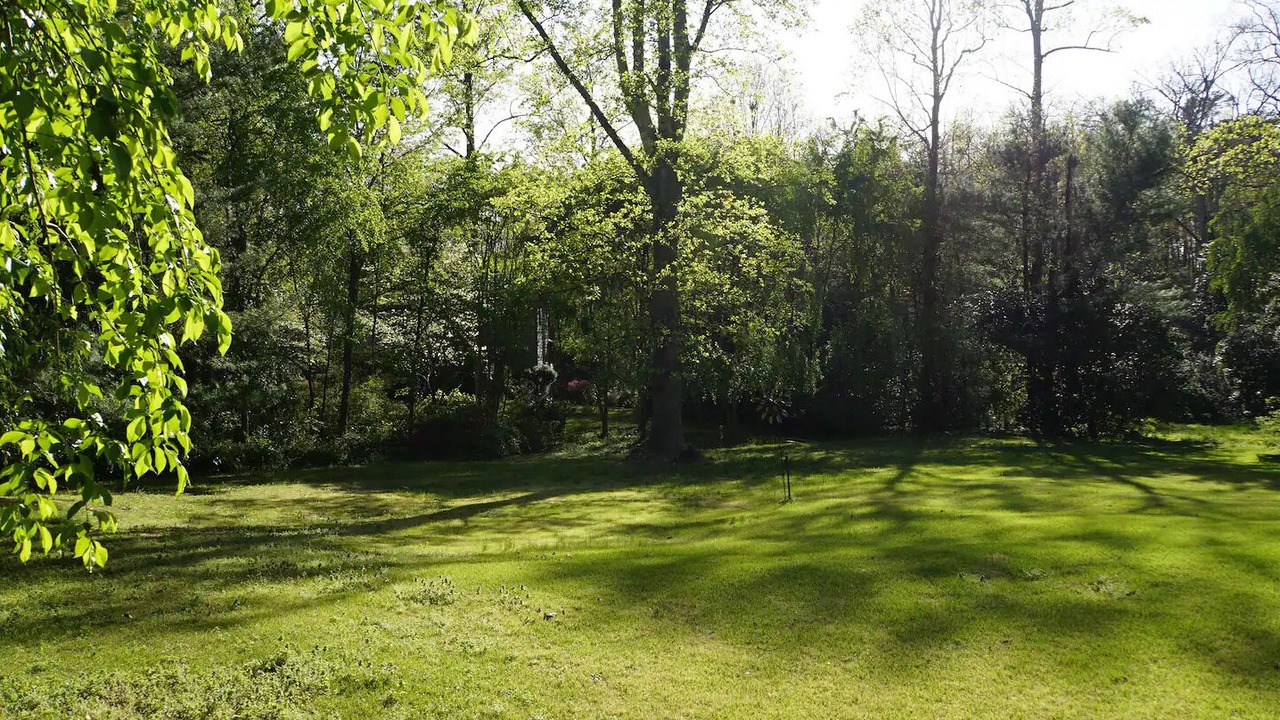 Photo of Outdoor in Landrum