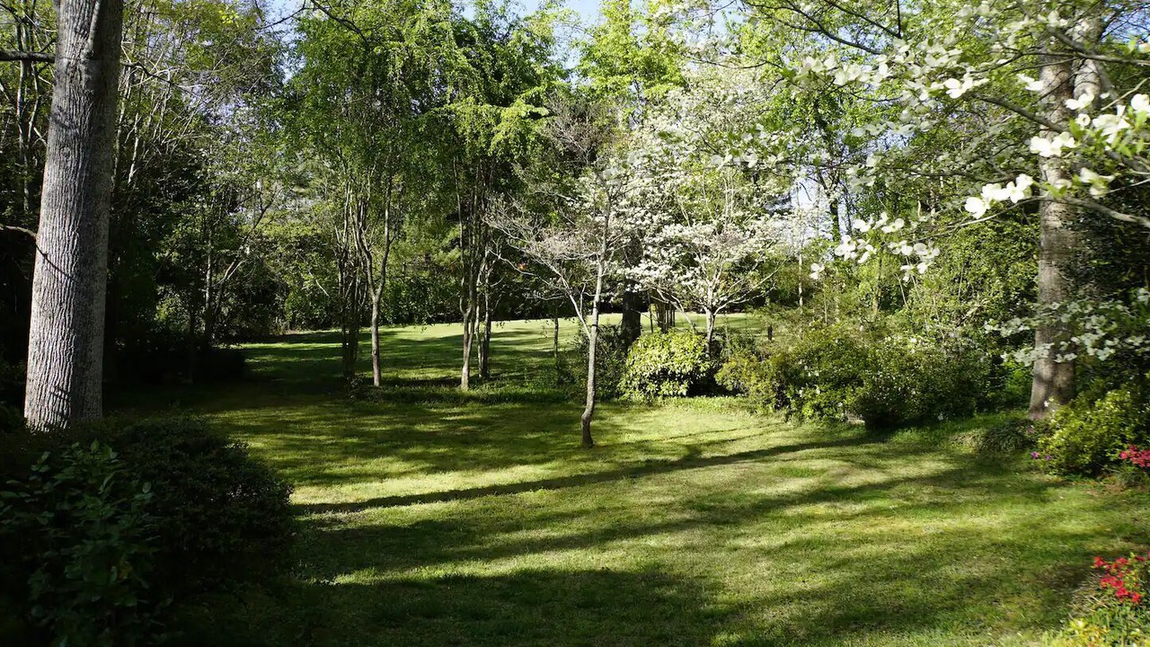 Photo of Outdoor in Landrum