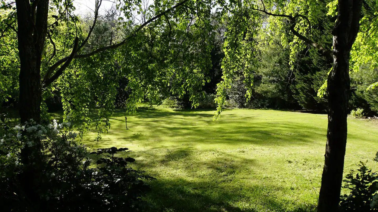 Photo of Outdoor in Landrum