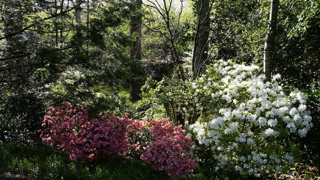 Photo of Outdoor in Landrum