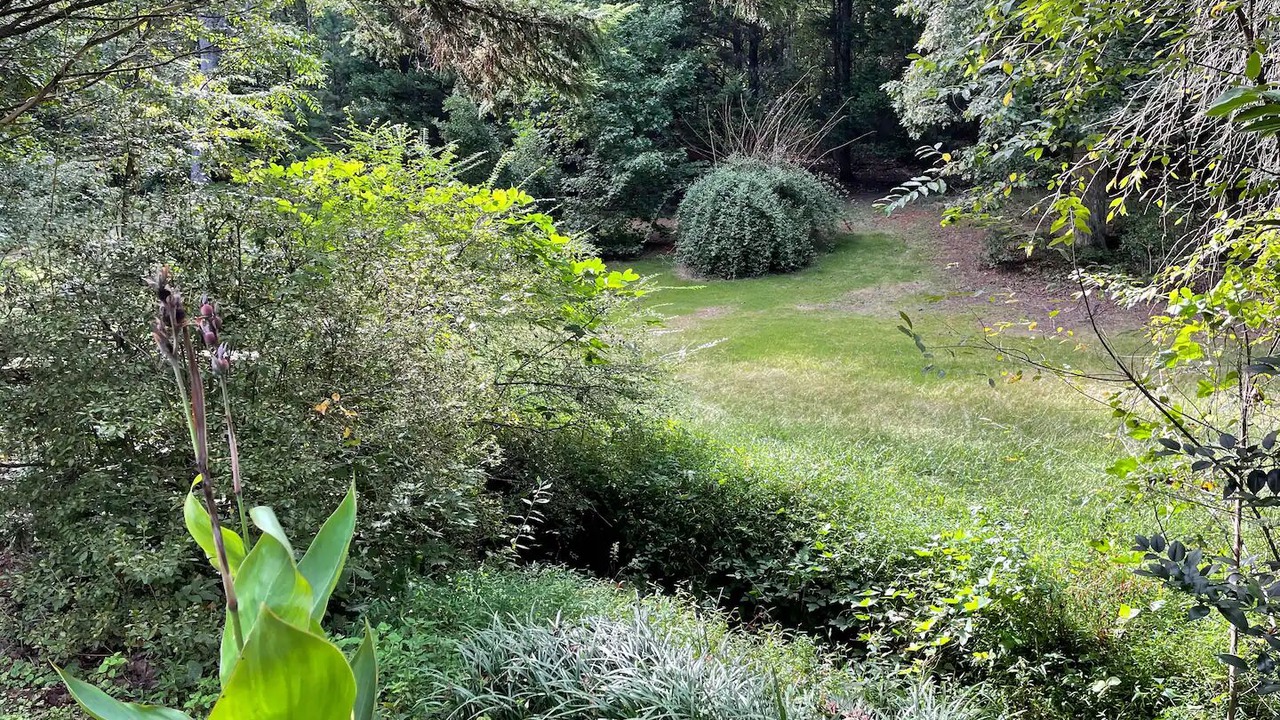 Photo of Outdoor in Landrum