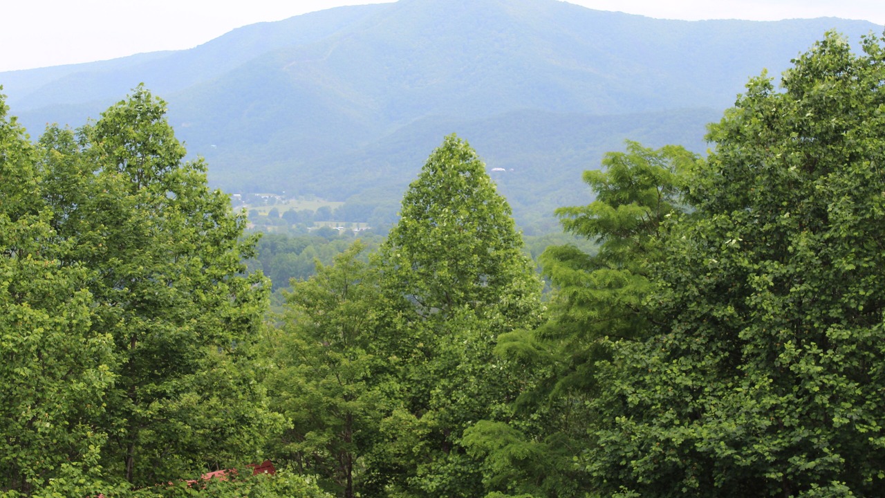 Photo of Outdoor in Wears Valley