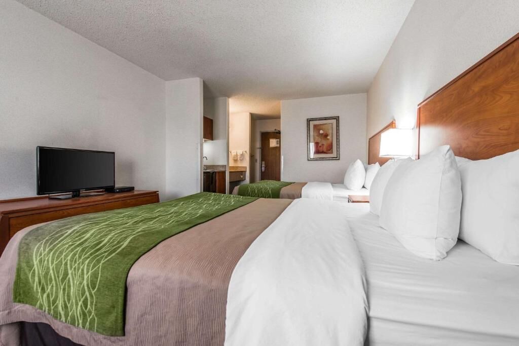 Photo of Bedroom in South Westminster