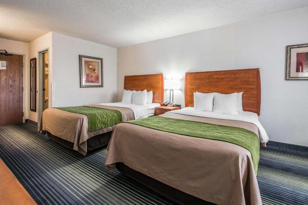 Photo of Bedroom in South Westminster