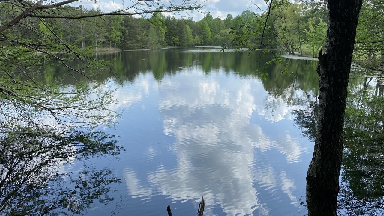 Photo of Outdoor in Beersheba Springs