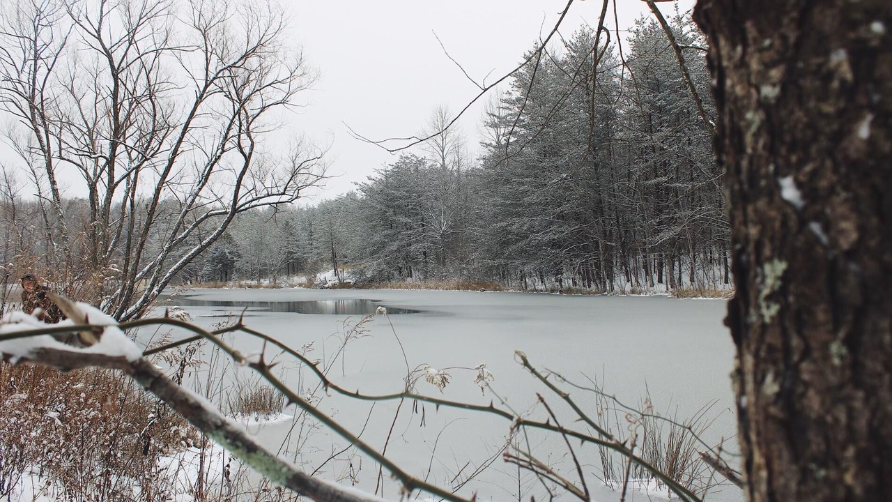 Photo of Outdoor in Beersheba Springs