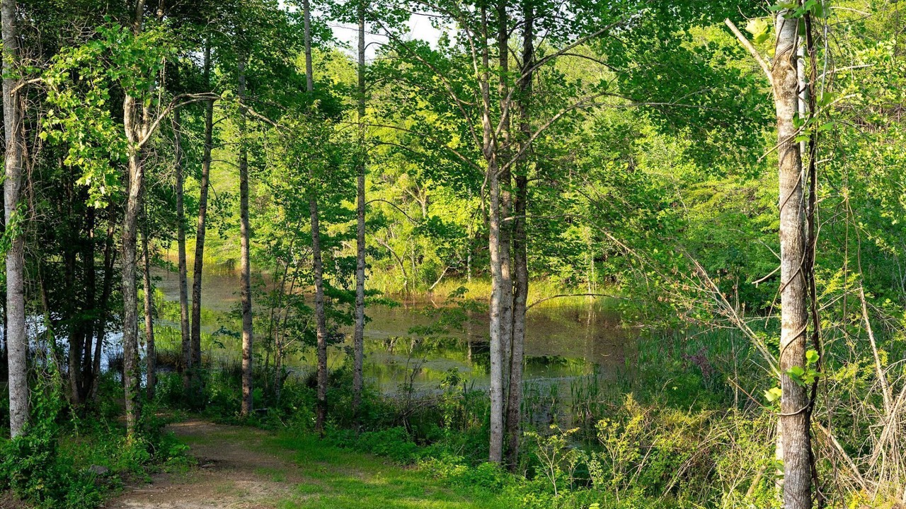 Photo of Outdoor in Beersheba Springs