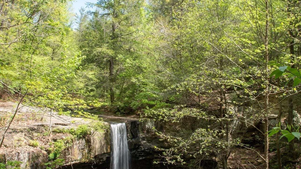 Photo of Outdoor in Beersheba Springs