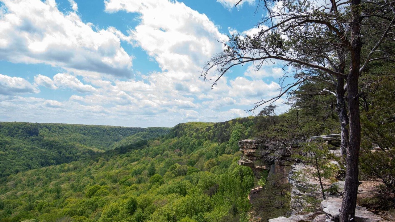 Photo of Outdoor in Beersheba Springs