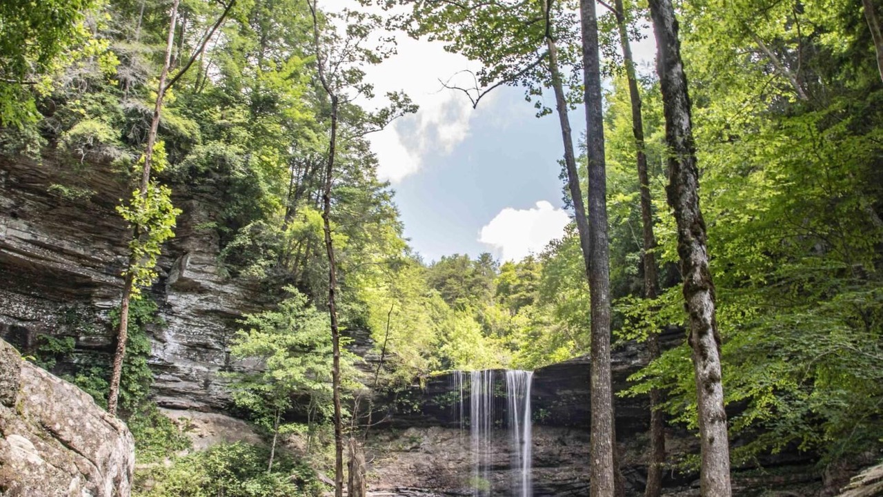 Photo of Outdoor in Beersheba Springs