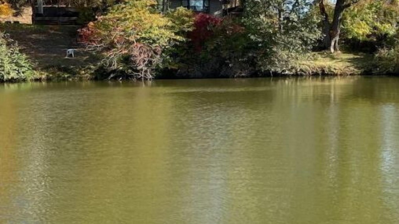 Photo of Outdoor in Scio