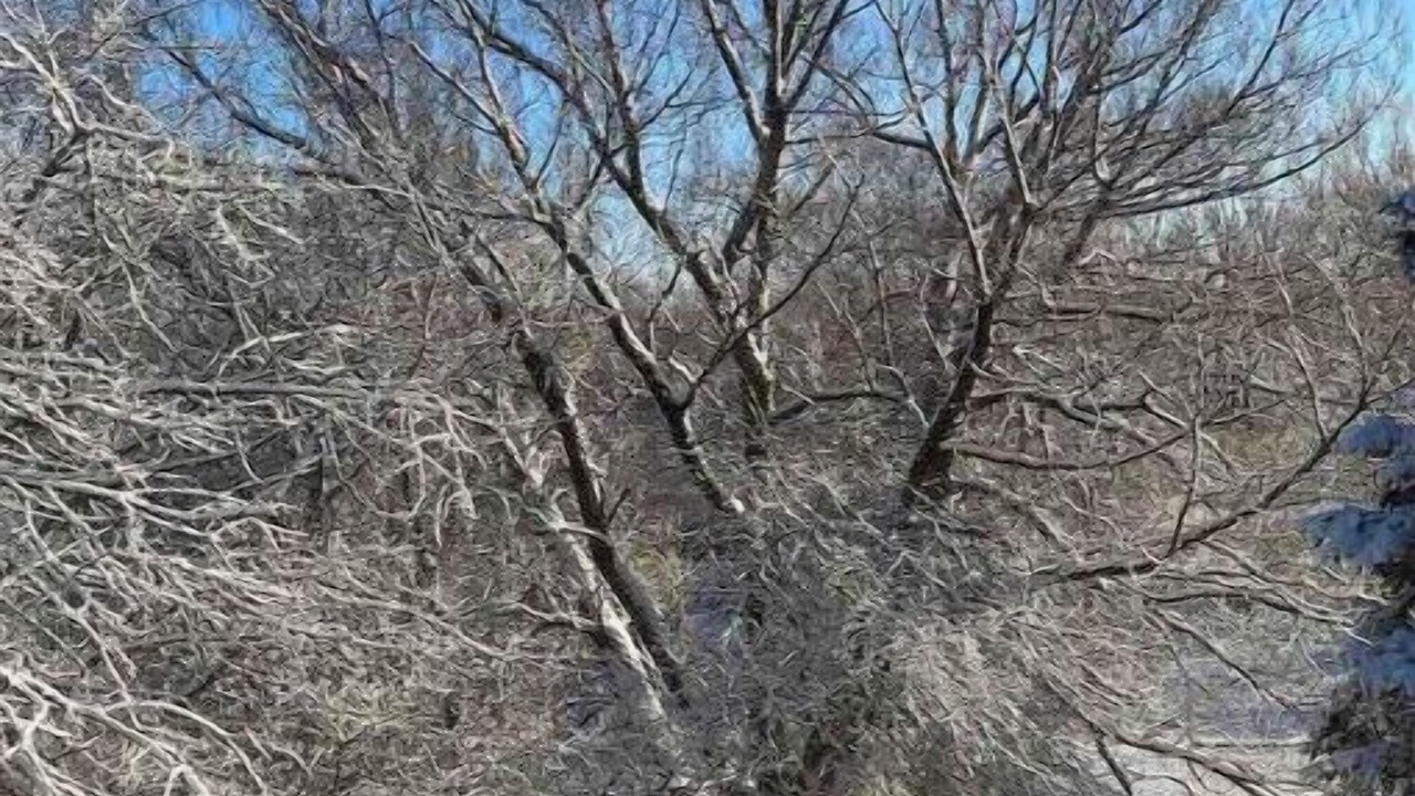 Photo of Outdoor in Chittenango