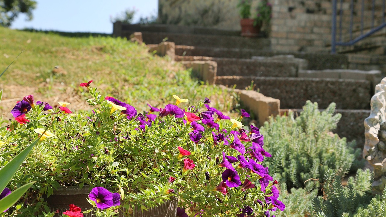 Photo of Outdoor in Culleoka