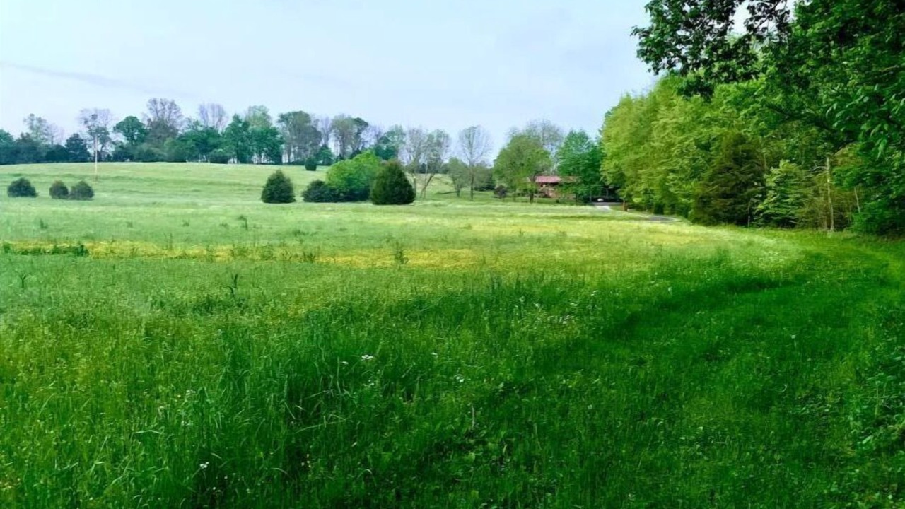 Photo of Others in Cross Plains