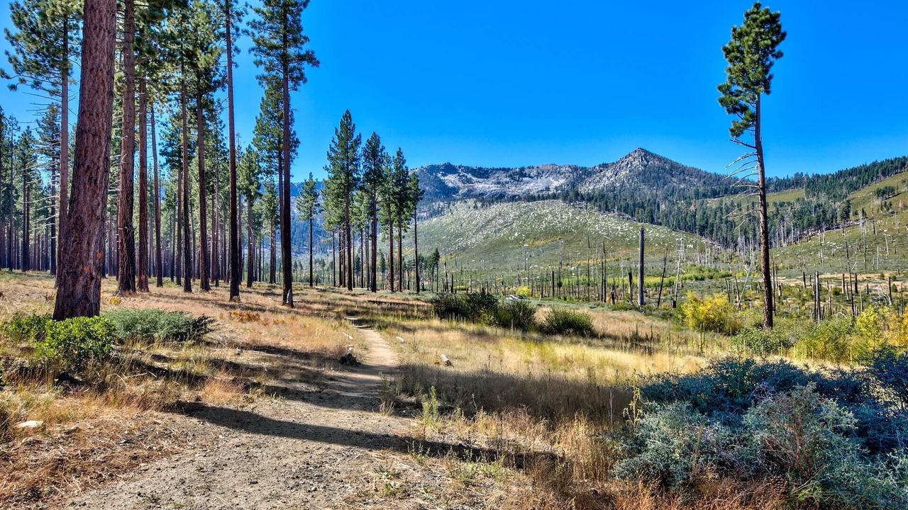 Photo of Outdoor in Mountain View Estates