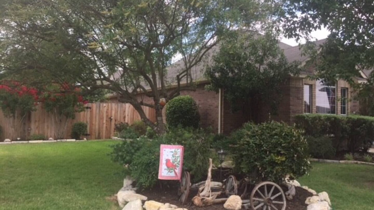 Photo of Outdoor in Schertz