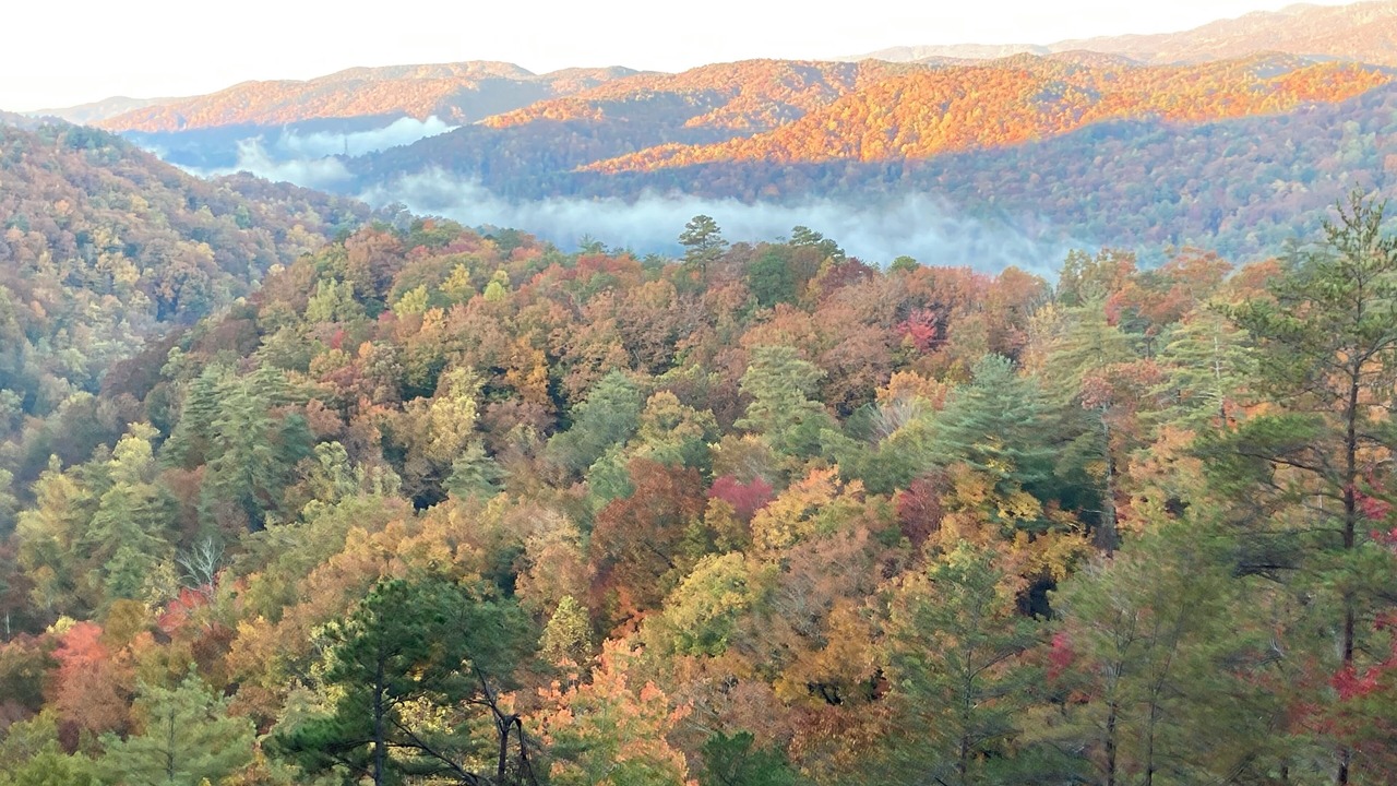 Photo of Outdoor in Brevard