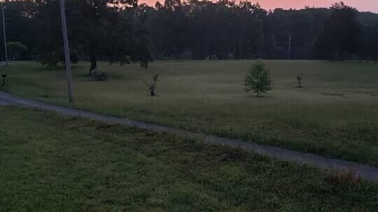 Photo of Outdoor in Ozone