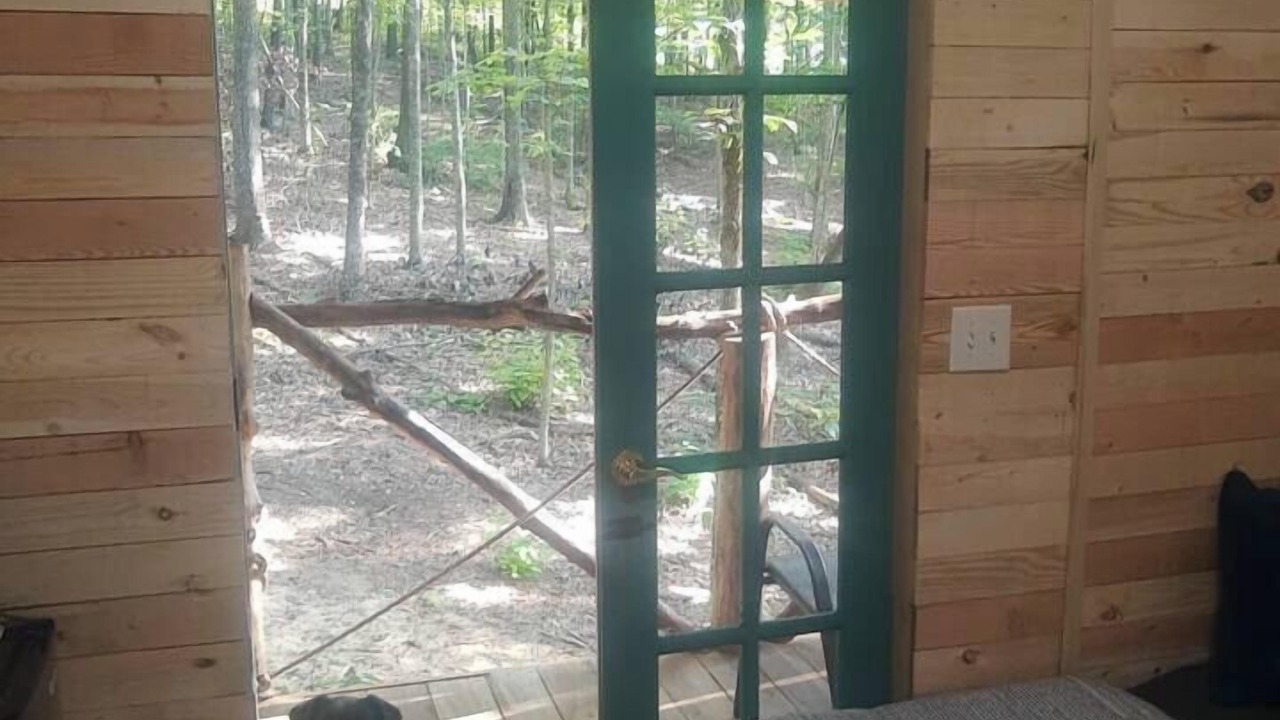 Photo of Bedroom in Ozone