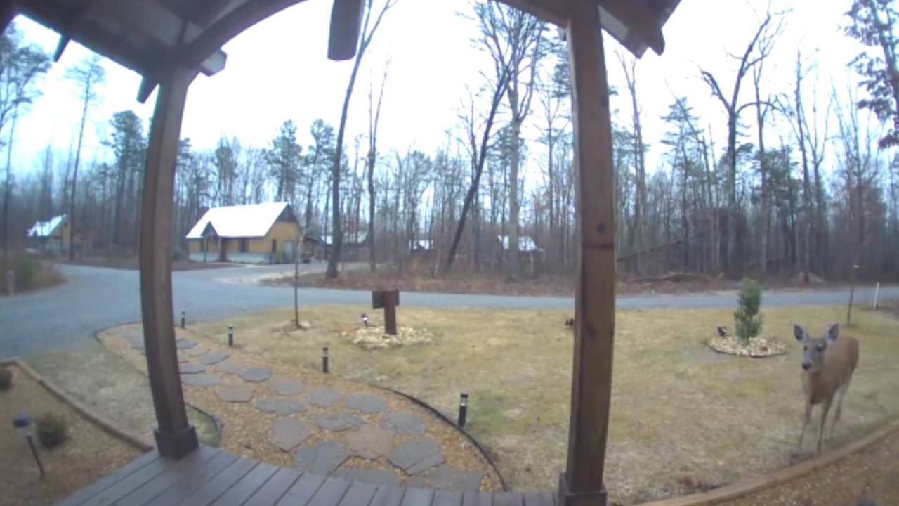 Photo of Outdoor in Rising Fawn