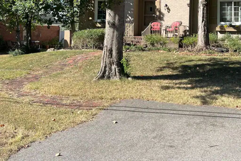 Photo of Others in Inglewood