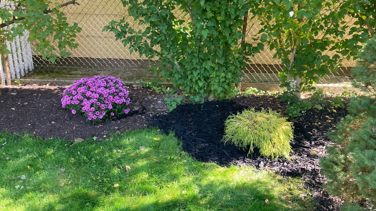 Photo of Outdoor in East Irondequoit