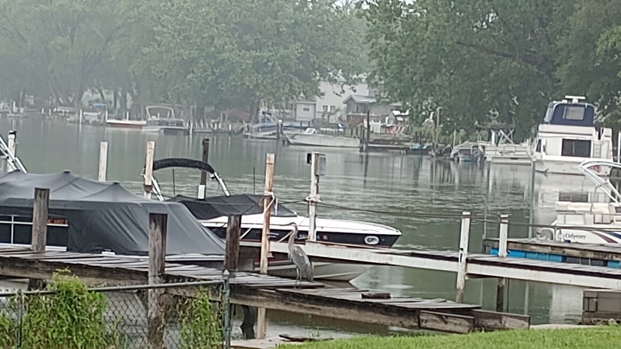 Photo of Others in Shoreland