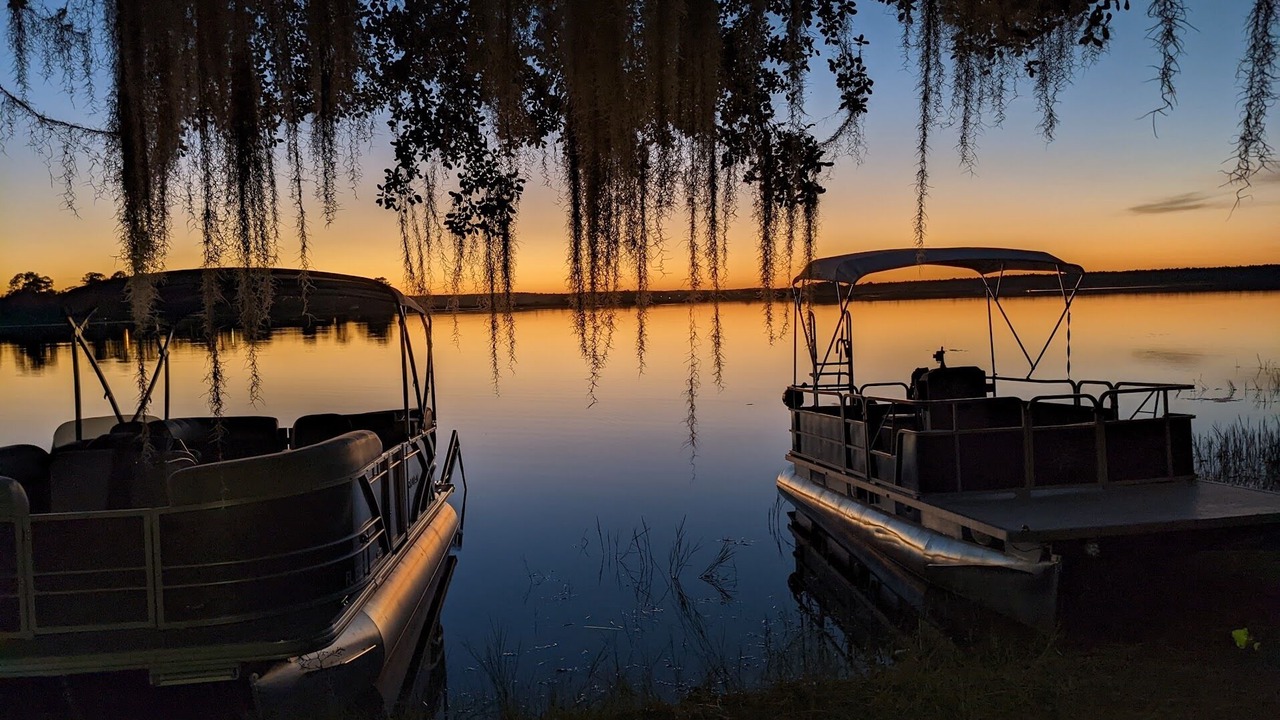 Photo of Others in Salt Springs