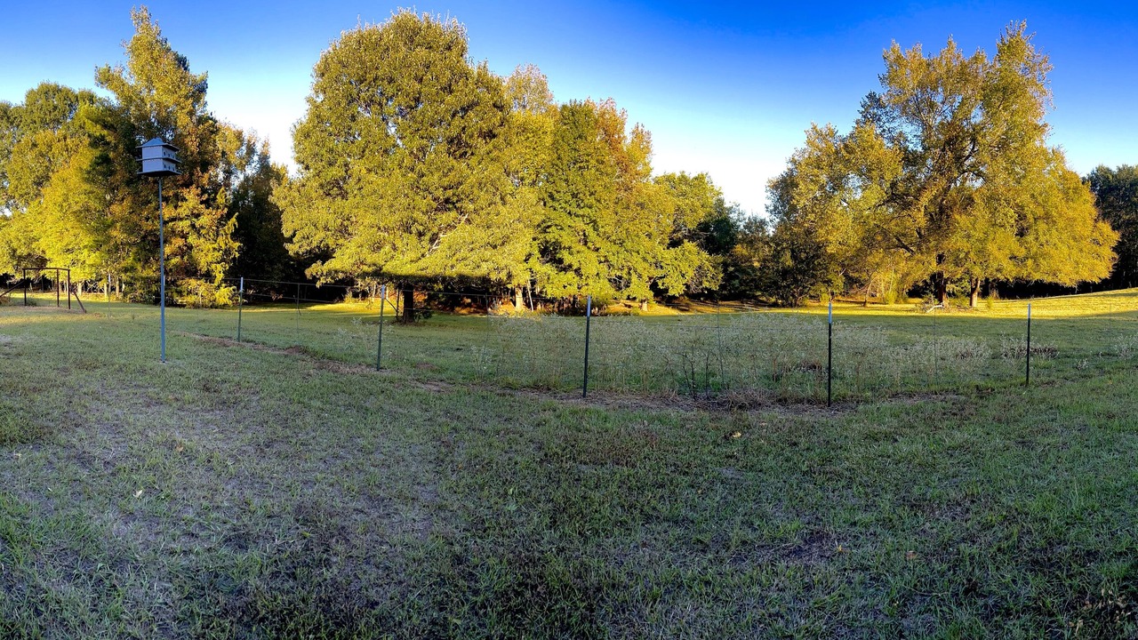 Photo of Outdoor in Mineola