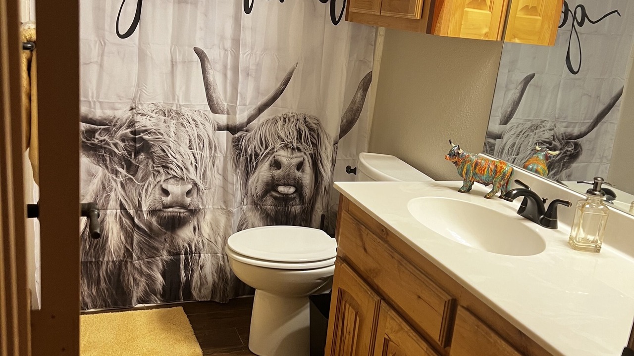 Photo of Bathroom in Mineola