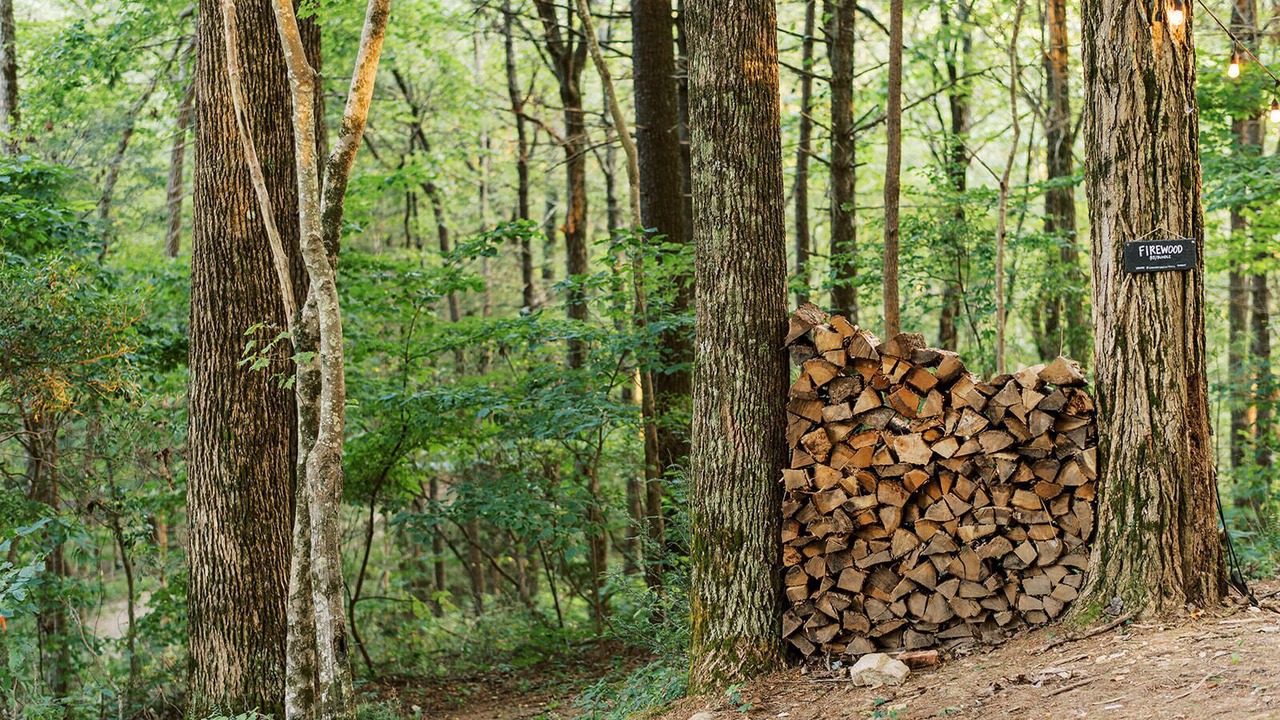 Photo of Others in Cherry Log