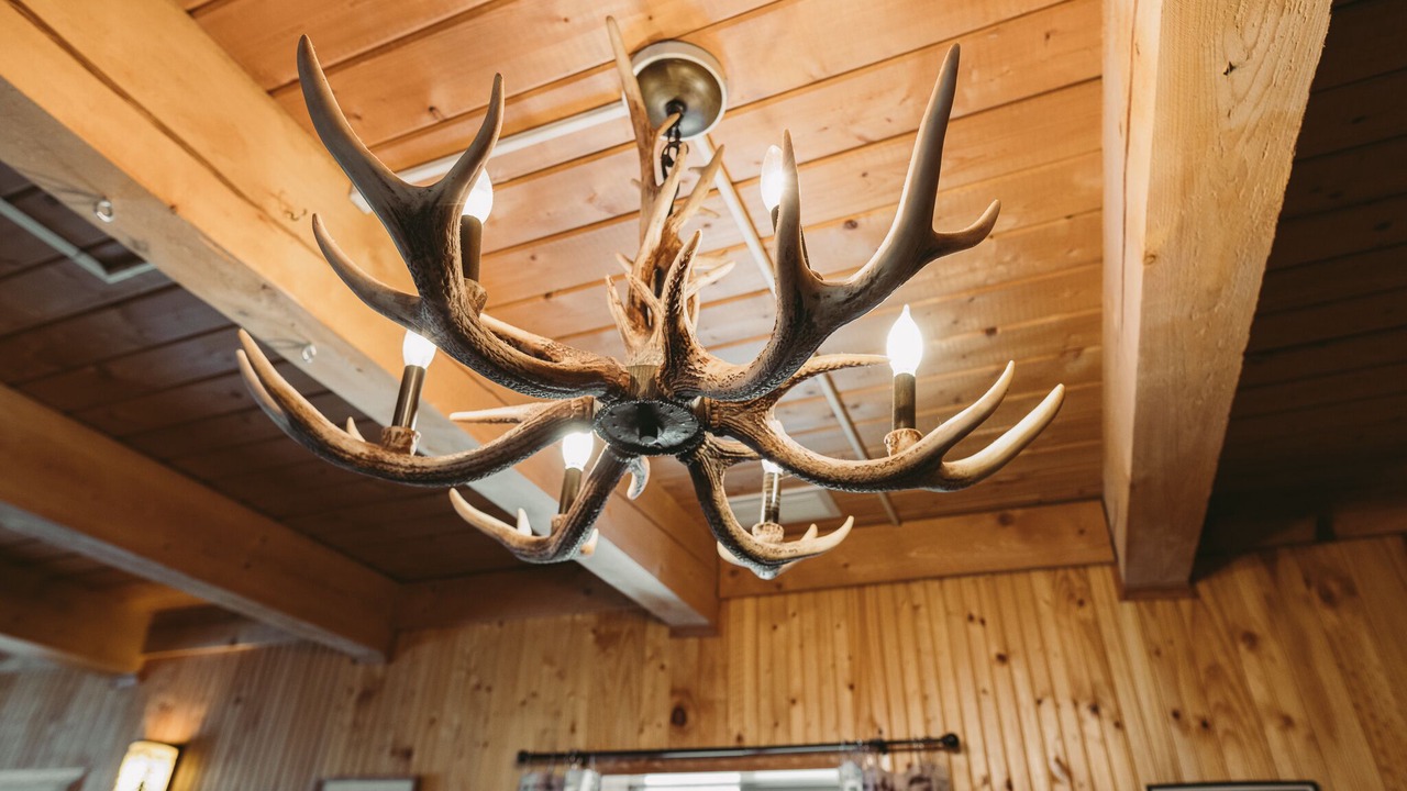 Photo of Others in Fairbanks