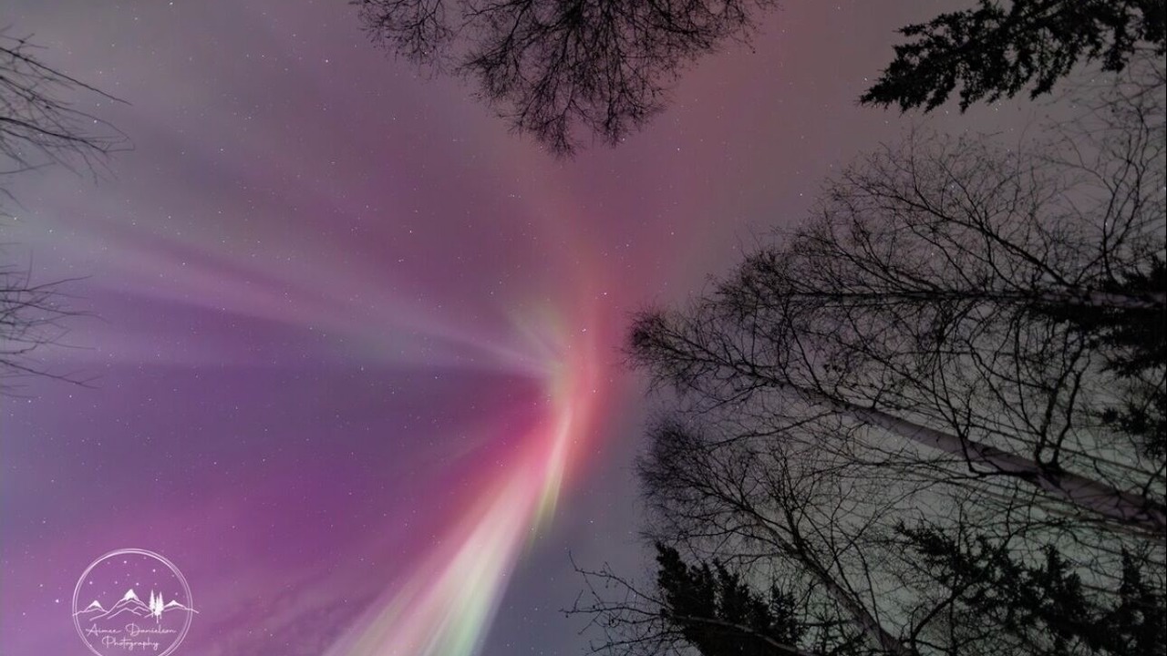 Photo of Others in Fairbanks