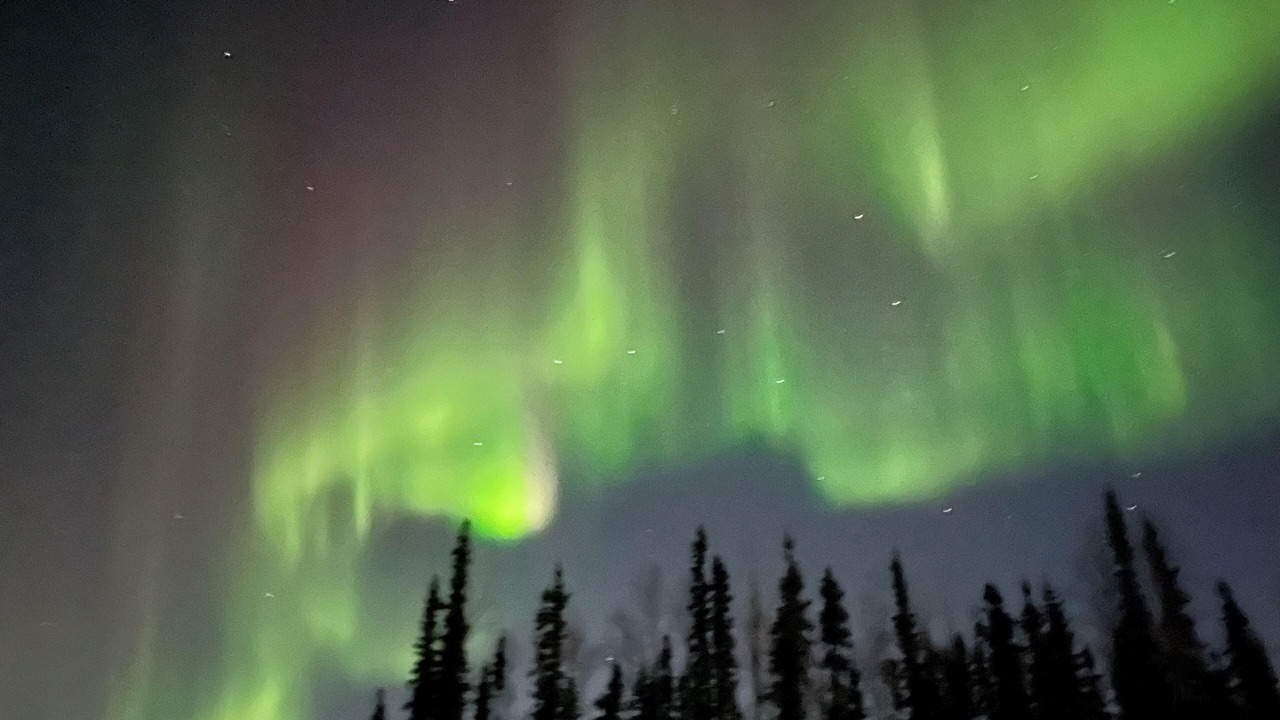 Photo of Others in Harding-Birch Lakes