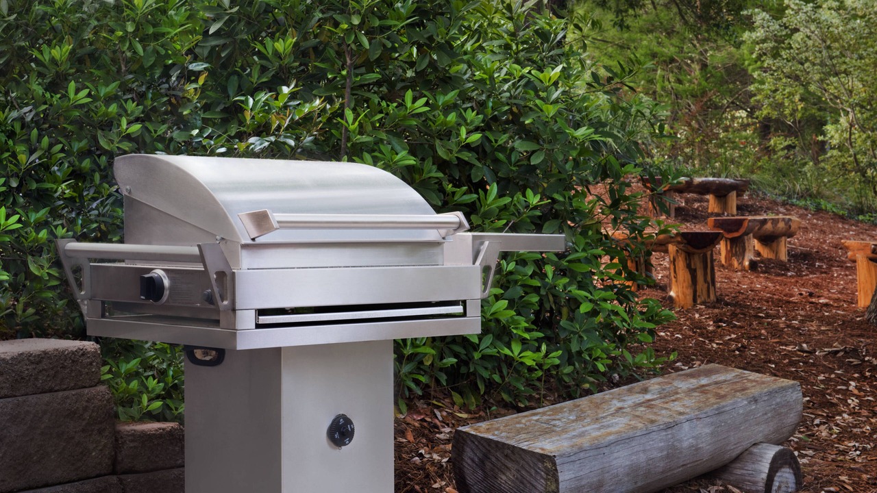 Photo of Outdoor in Myrtle Beach