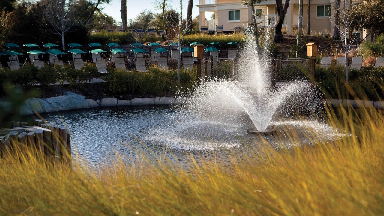 Photo of Outdoor in Myrtle Beach