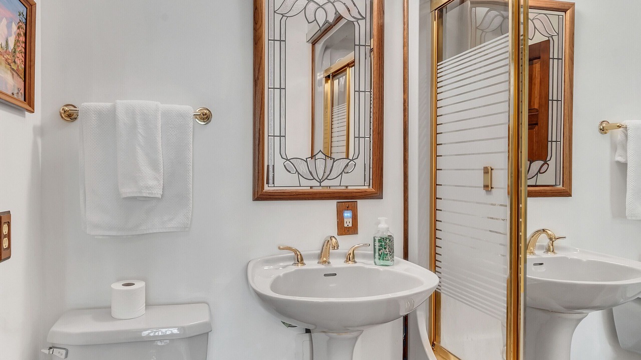 Photo of Bathroom in Giles County