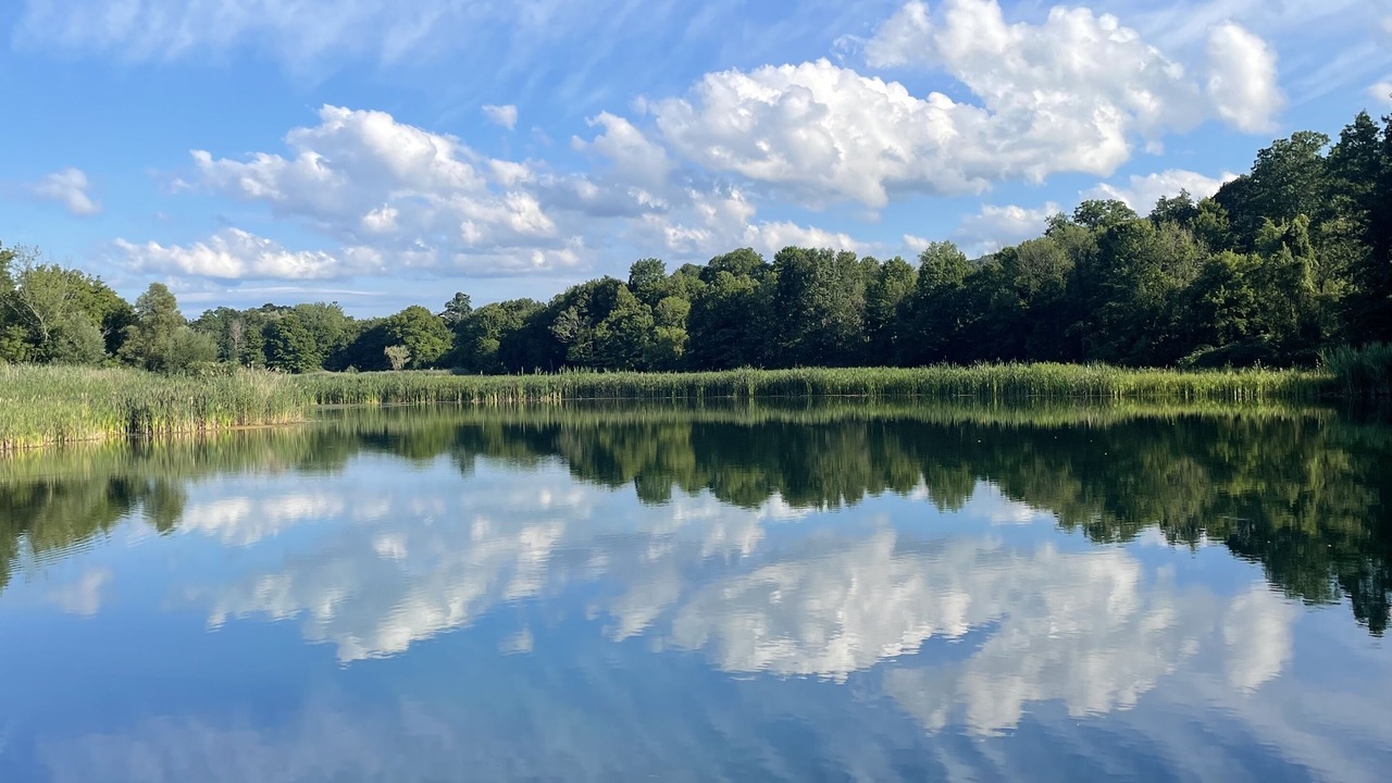Photo of Outdoor in Oneida
