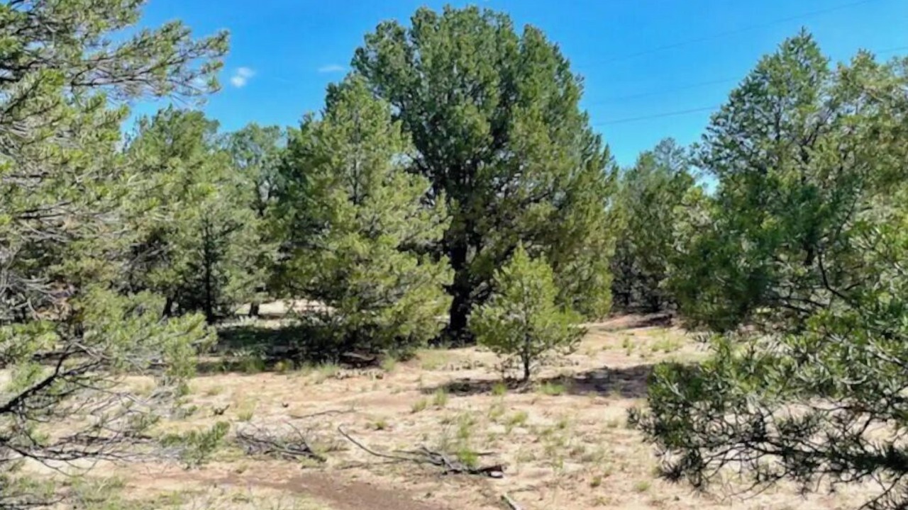 Photo of Outdoor in Carson