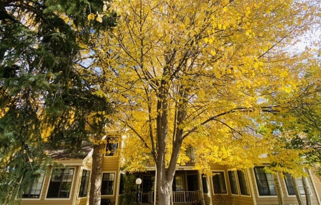 Photo of Outdoor in Boulder