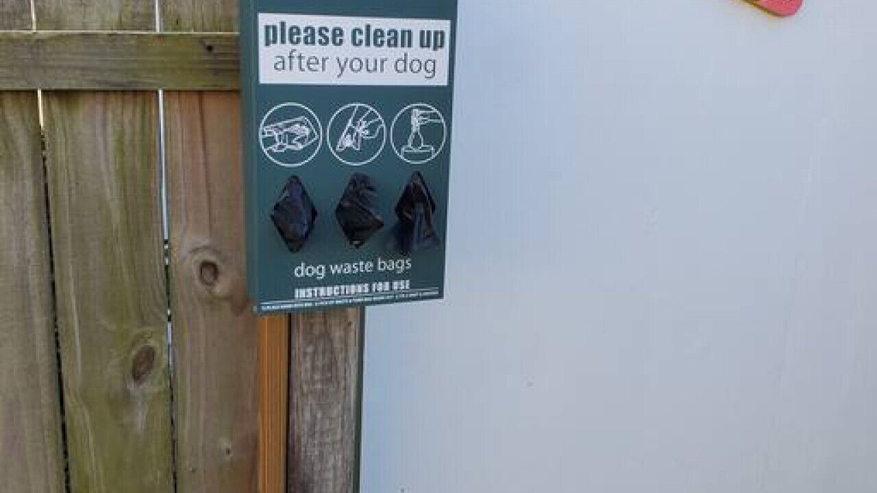 Photo of Others in Crescent Beach