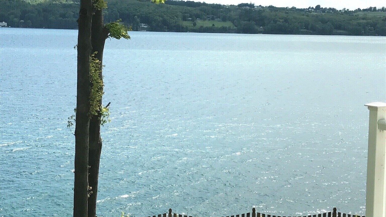 Photo of Others in Skaneateles