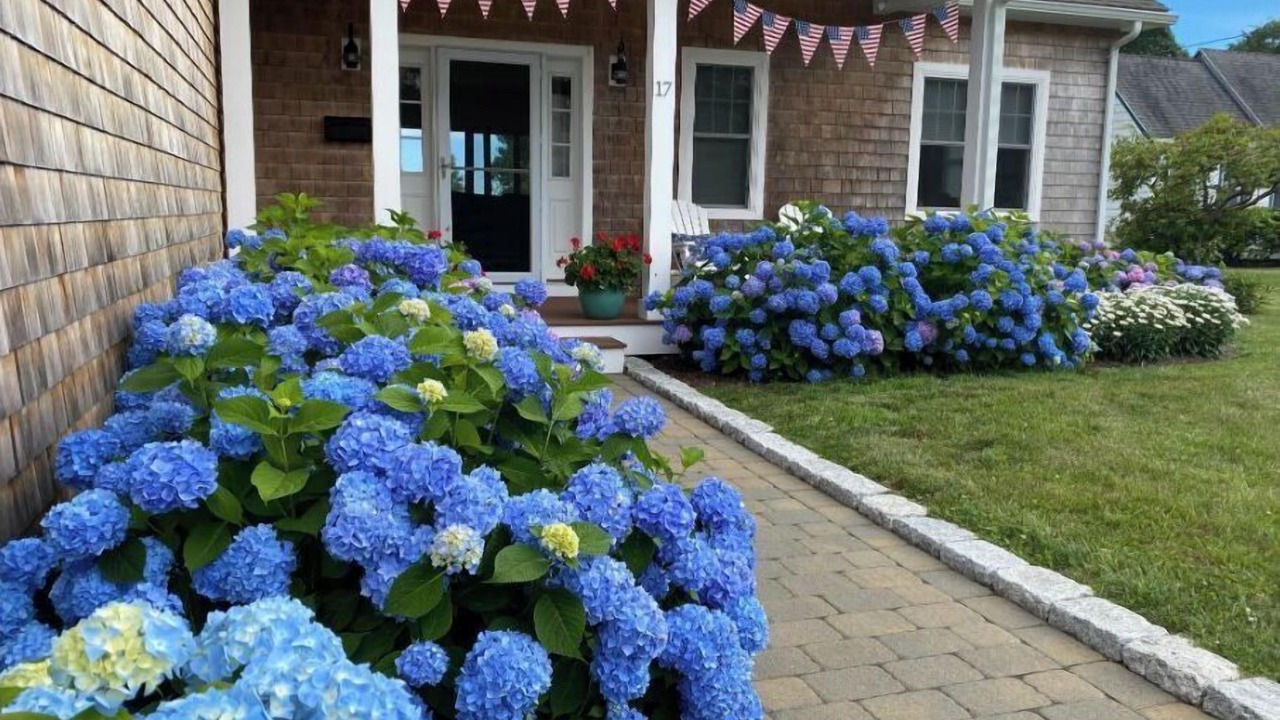 Photo of Outdoor in Misquamicut
