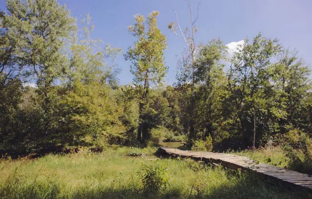 Photo of Outdoor in Farmington