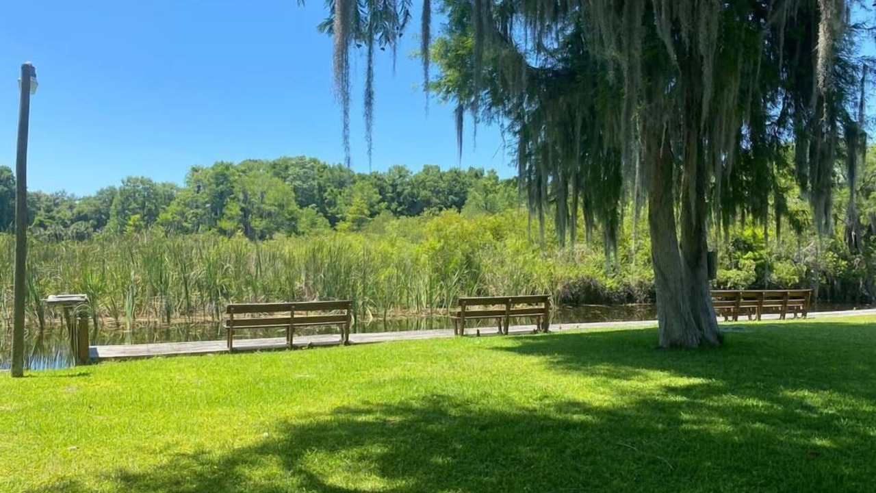Photo of Others in Crystal River