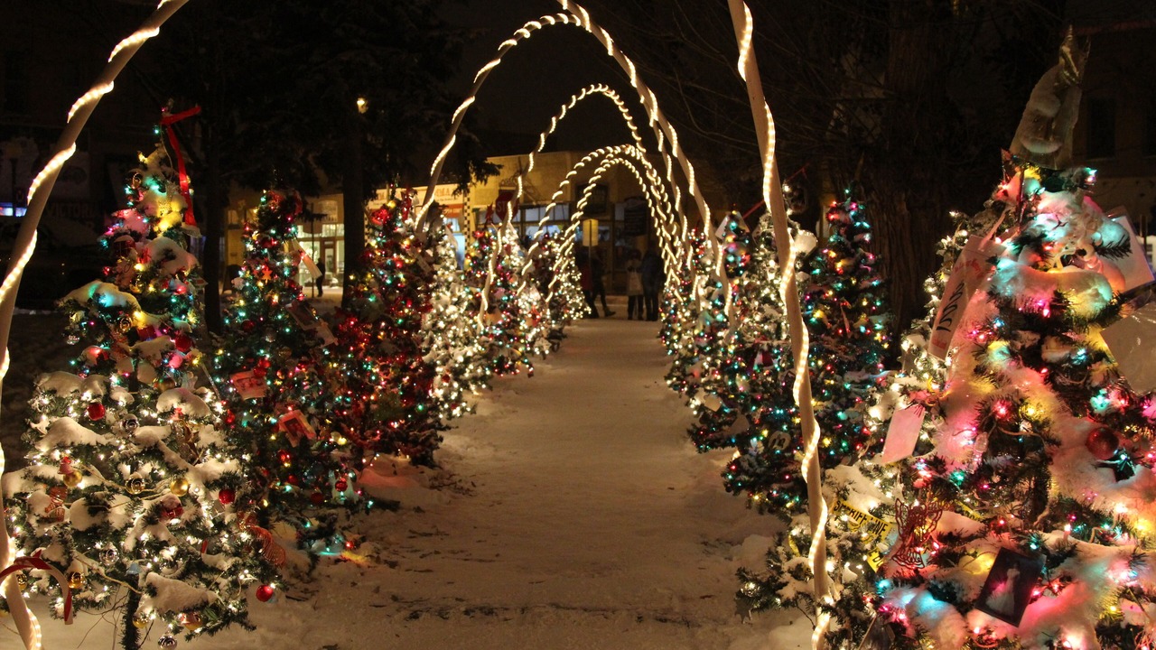 Photo of Others in Salida