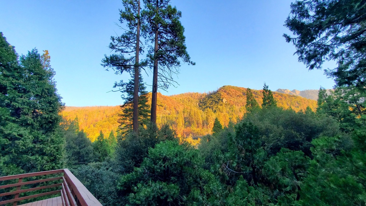 Photo of Outdoor in Camp Nelson