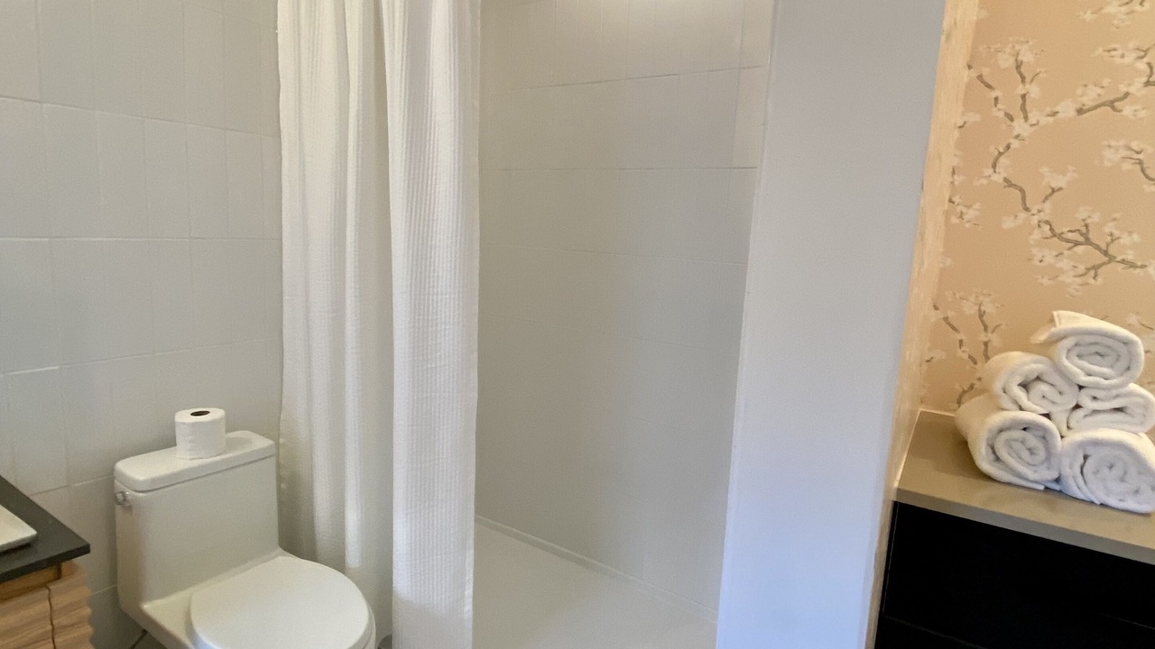 Photo of Bathroom in South Side Flats