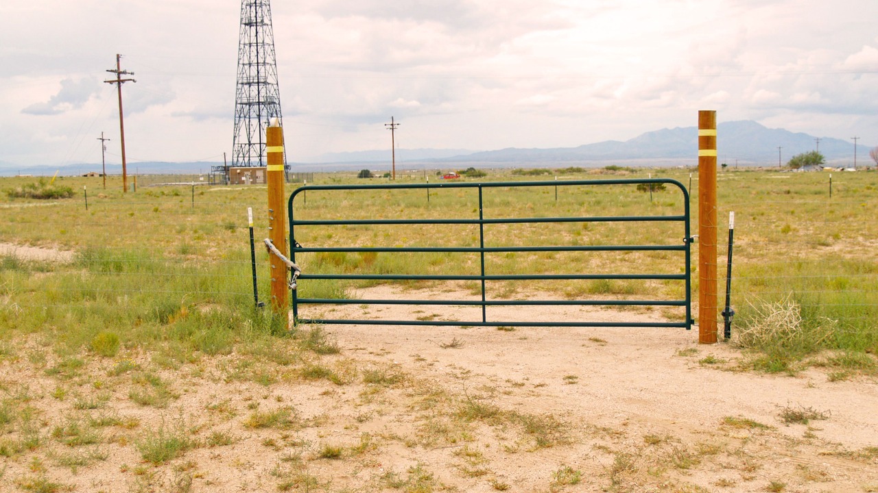 Photo of Others in Bosque